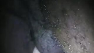 Steve (Florida, ZDA)