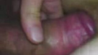 Plavolasa kurba izvaja fafanje