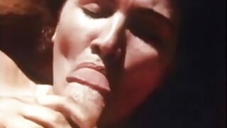 Domače nabijanje muce od blizu