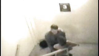 Rjavolaska se zabava s tiča in dobi obremenitev