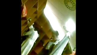 Snežaka dobi tiča zanič