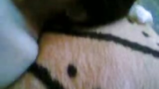 Vozil sem se s triciklom