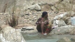 Prsata kurba sesa tiča