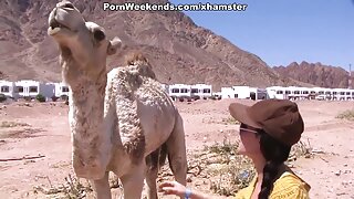 Dildo po njegovem tesnem rektumu