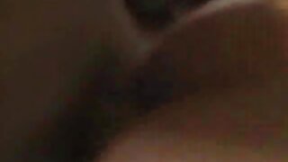 Prasica pogoltne tiča in se zajebe