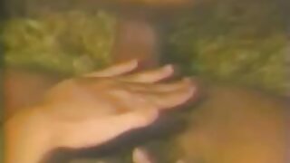 Sesaj mi tiča kot kurba