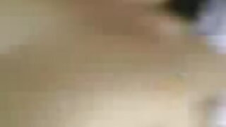 Petelin draži punco