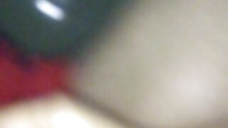 Ljubiteljski prvak v sesanju tiča