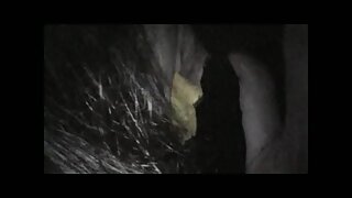 Ogromna igrača za mojo piko