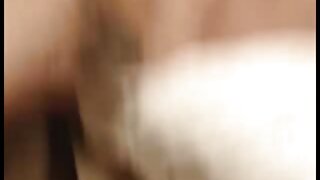 Petelin za vožnjo s taksjem