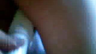 Z ljubko muco se igra tukaj