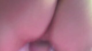 Mala psička sesa velikega črnega tiča